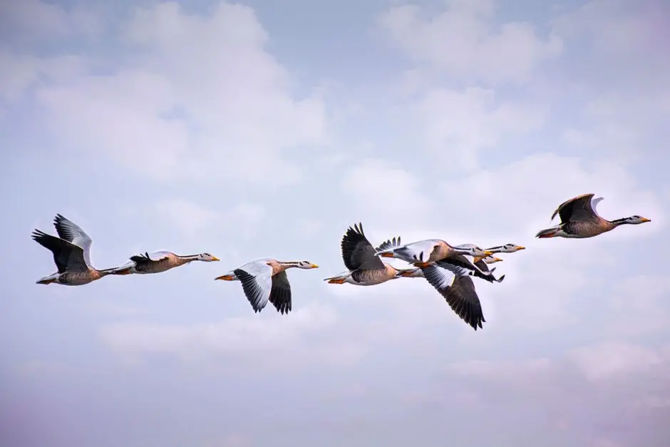 Engineer Database Schema Evolution with EF Core Migrations