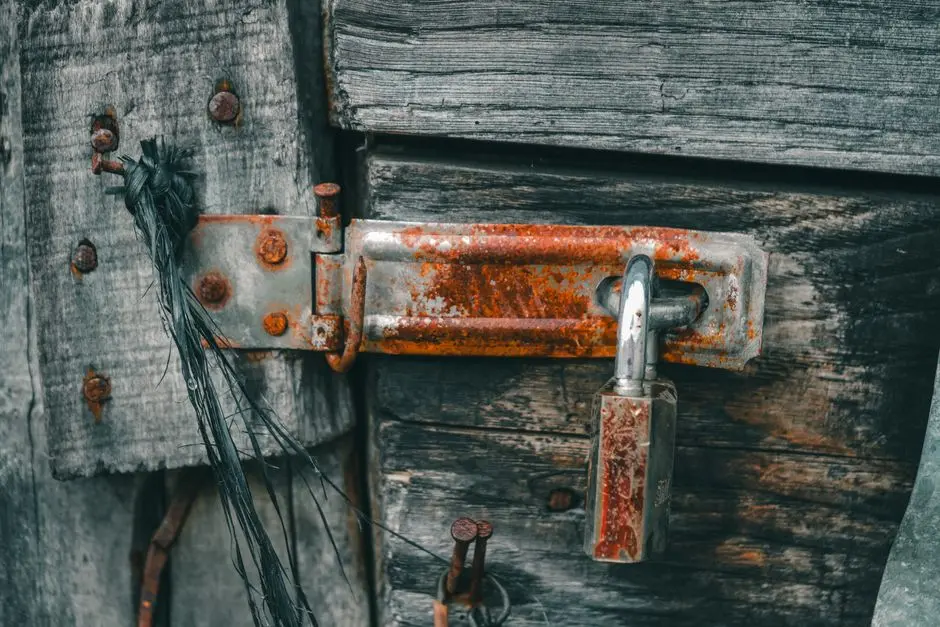 Forge High-Performance Hybrid Apps: Rust to Wasm for JavaScript