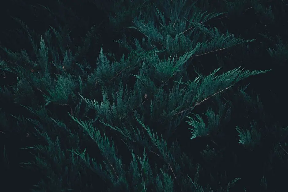 Forge End-to-End Resilience: Cypress and Playwright Mastery