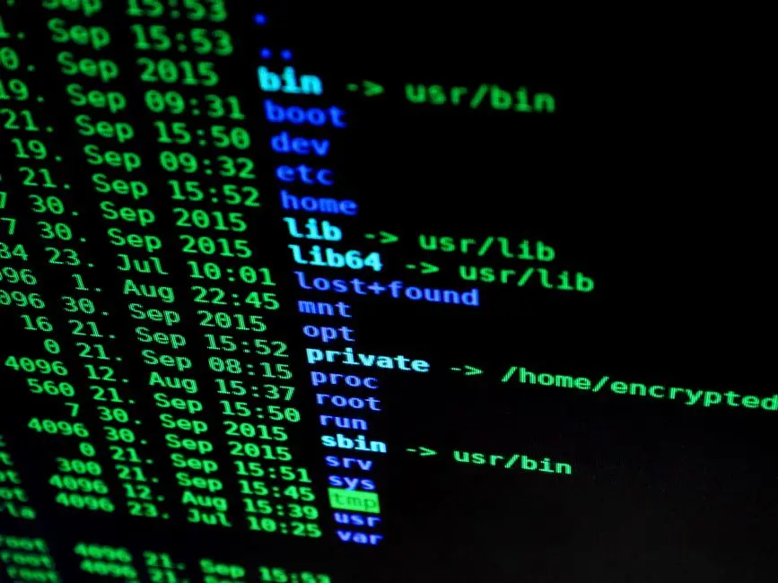 Master Python Directory Operations for Automation