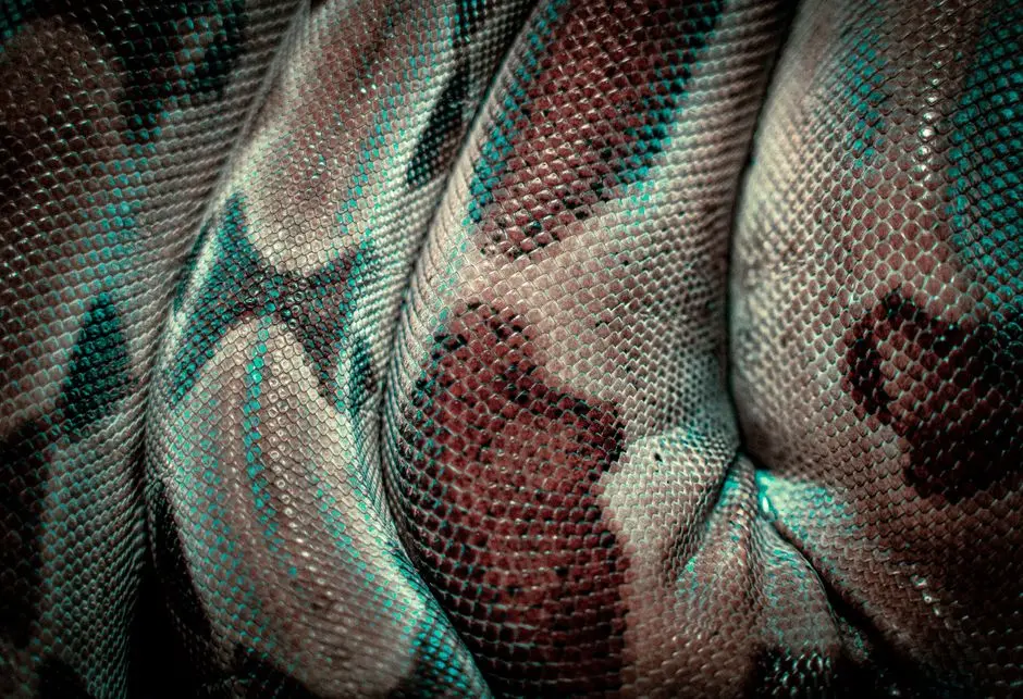 Engineer Isolated Tests: Master Python Mocking & Patching