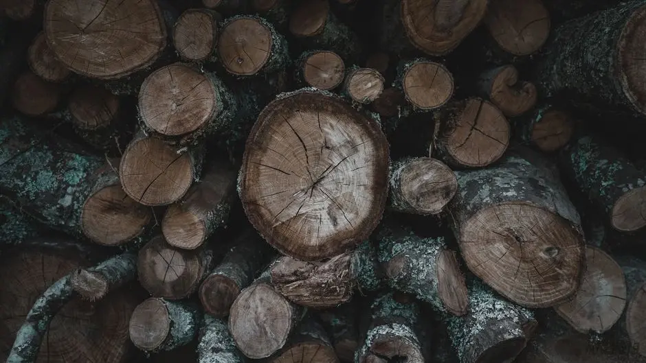 Engineer Precision: Log React State Changes with Hooks and Middleware
